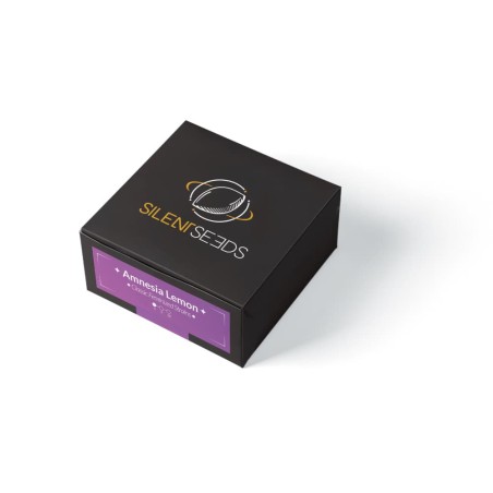Semi di cannabis Amnesia Lemon