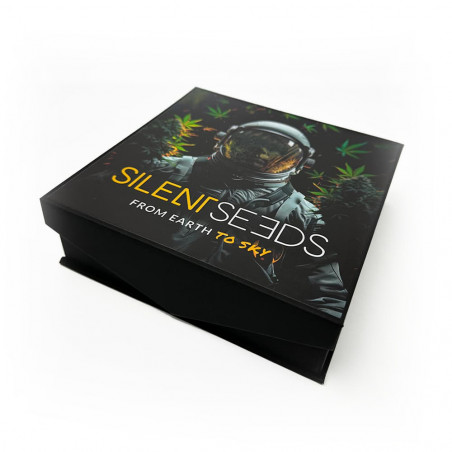 Posacenere in cristallo - Cosmonauta - Silent Seeds