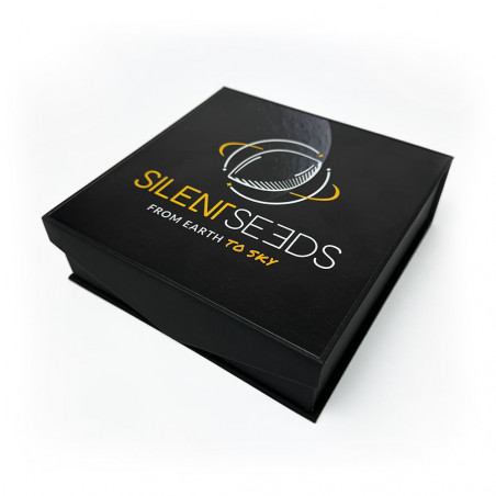 Posacenere in cristallo - Silent Seeds