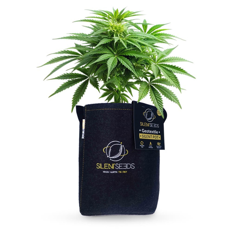 Vaso in geotessuto Silent Geotextile Silent Seeds  e - 11 L
