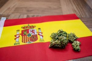 club sociali della cannabis a Barcellona