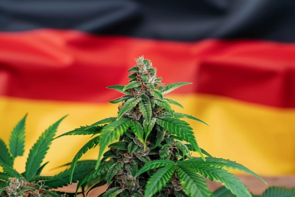 legalizzazione della cannabis in Germania